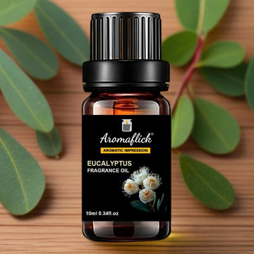 Eucalyptus Fragrance Oil – Refreshing & Uplifting Scent for Candles, Soaps & More